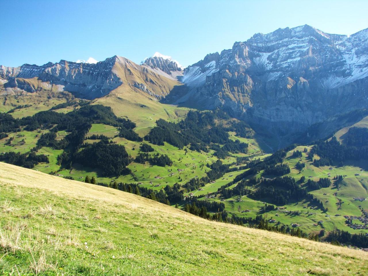 Appartment Andrea Adelboden Exteriör bild