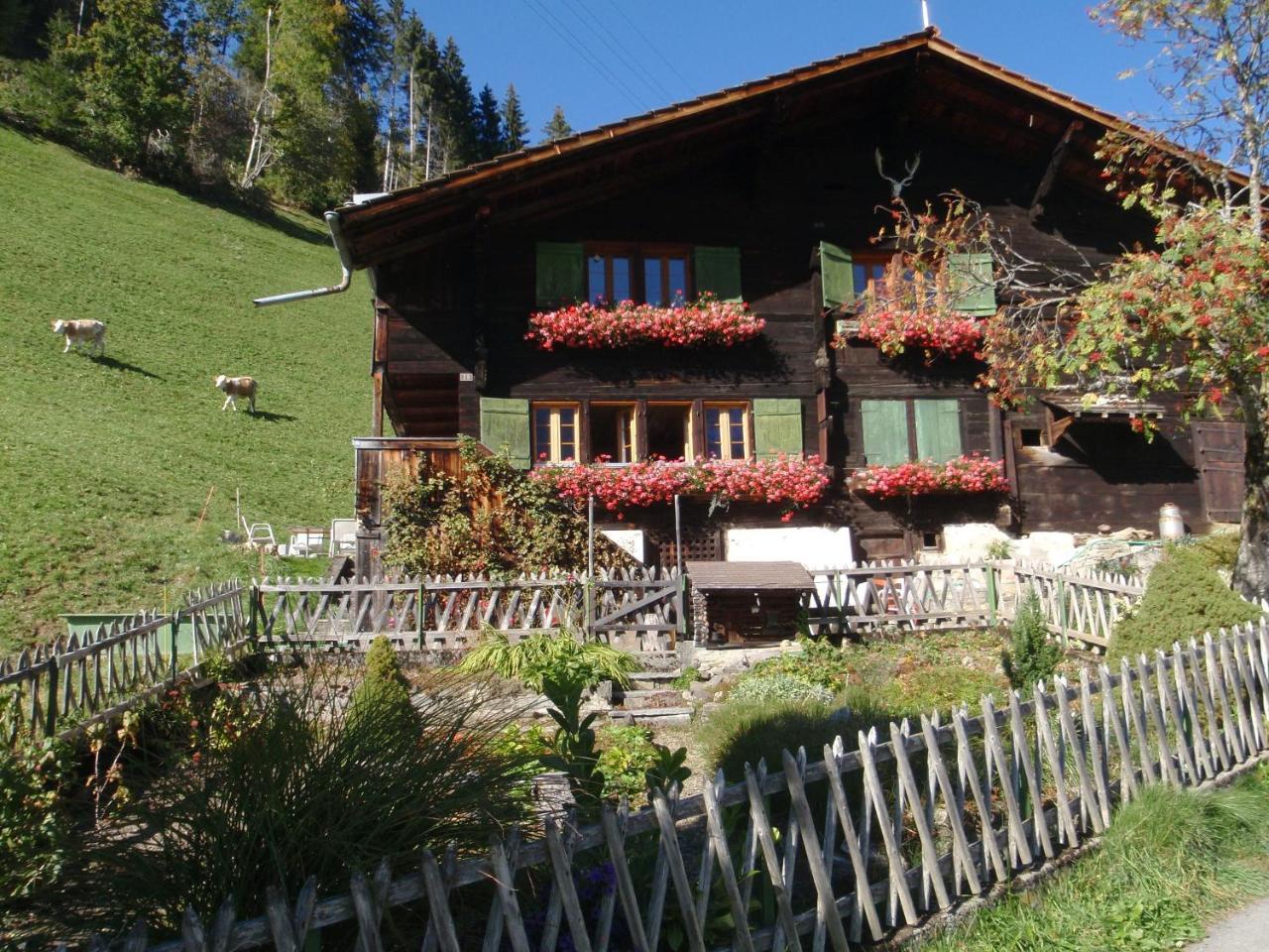Appartment Andrea Adelboden Exteriör bild