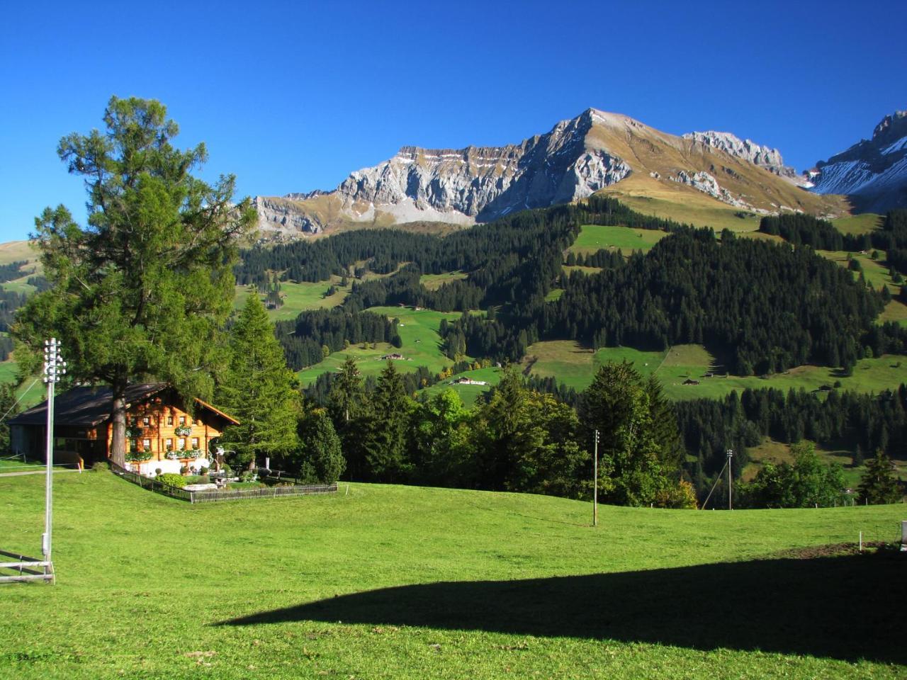 Appartment Andrea Adelboden Exteriör bild