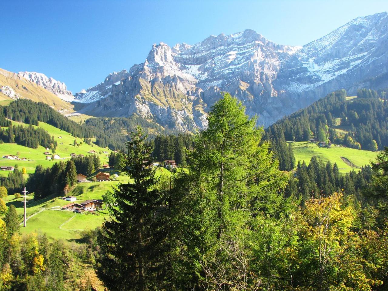 Appartment Andrea Adelboden Exteriör bild